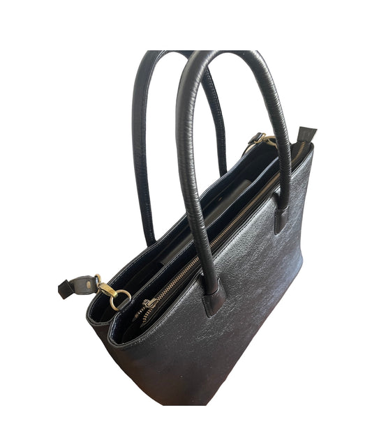 Regal Refine ( Lead time - 15 days)